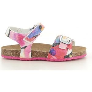 Elephant Rose 933-12259-2 multicolor